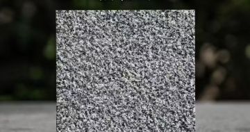 庆阳 芝麻黑荔枝面