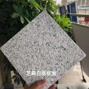 庆阳 芝麻白荔枝面干挂