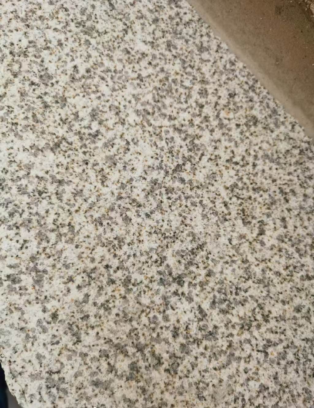 庆阳 黄金麻中黄光面