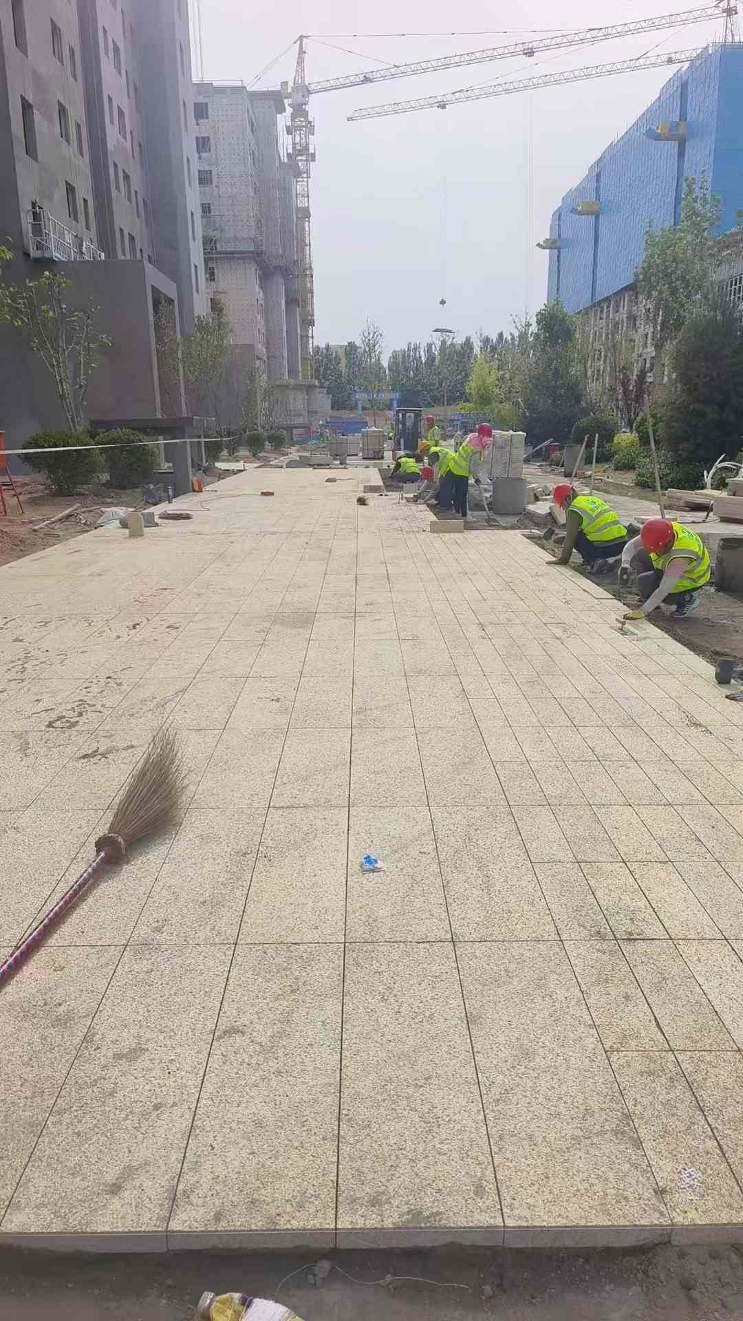 庆阳黄金麻荔枝面地铺案例