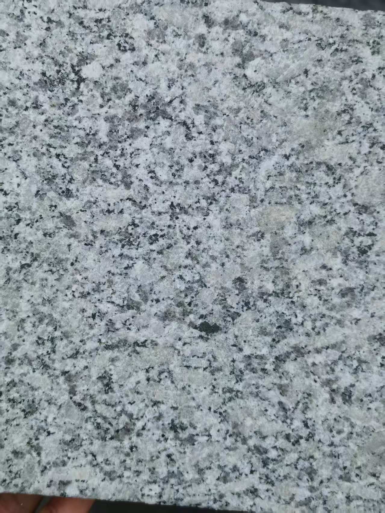 庆阳 芙蓉白火烧面